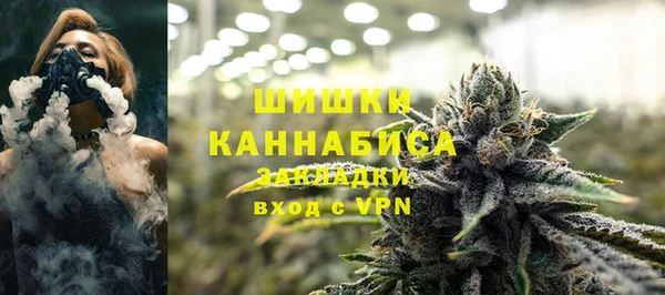 бошки Гусь-Хрустальный