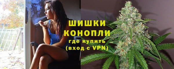 метадон Гусев