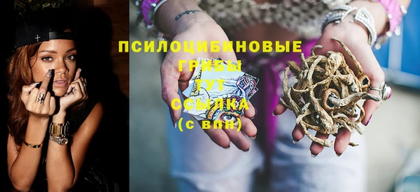 бошки Гусь-Хрустальный