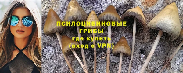 бошки Гусь-Хрустальный