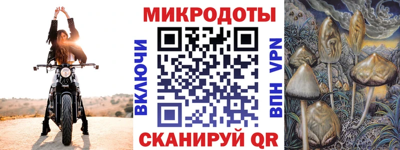 Псилоцибиновые грибы MAGIC MUSHROOMS  Купить закладки  Кораблино 